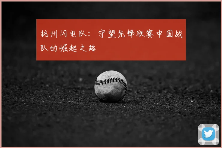 杭州闪电队：守望先锋联赛中国战队的崛起之路